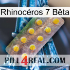 Rhinocéros 7 Bêta new11